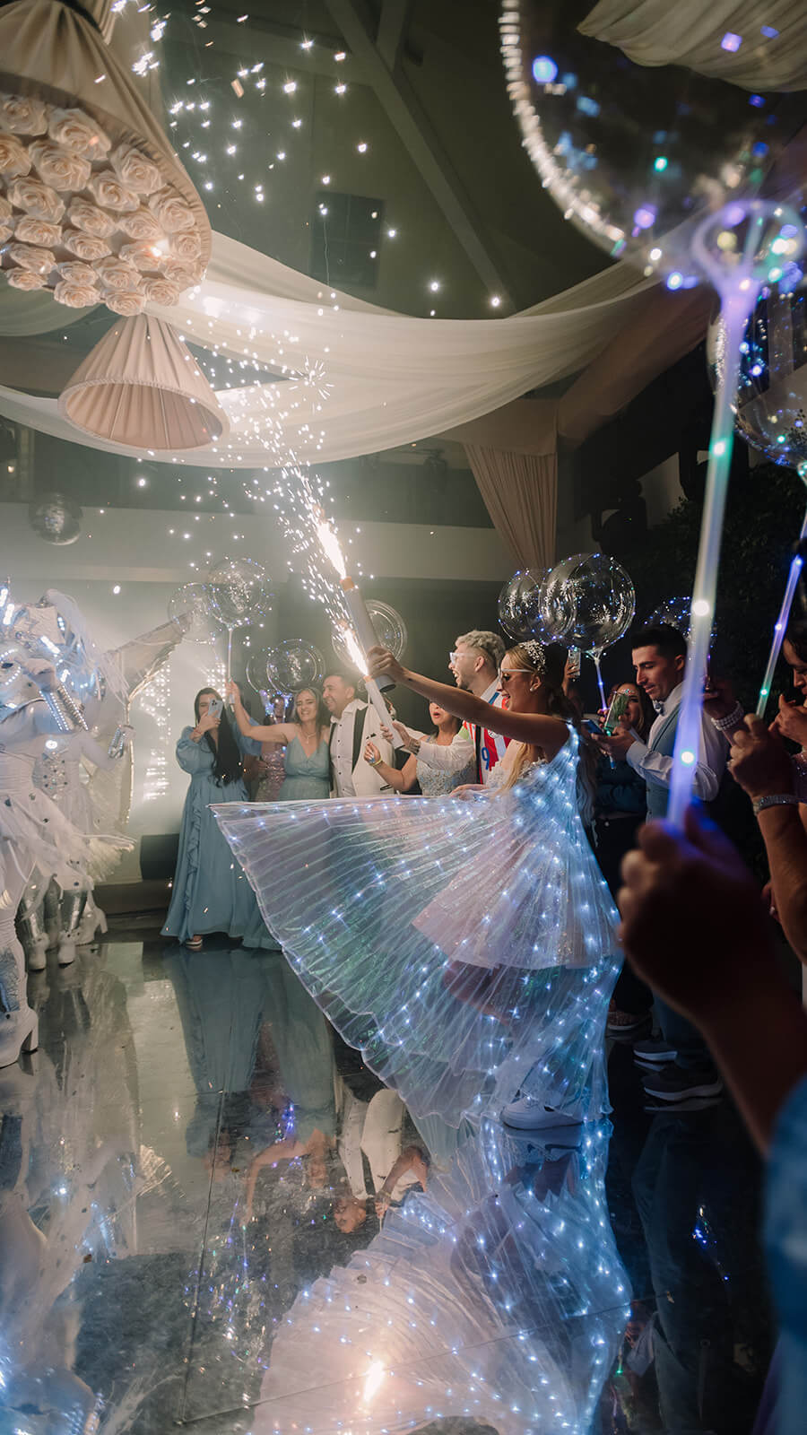 Descripción de la imagen 101